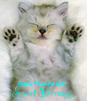 Relaxing Music for Cats～ Sweet Dreams