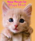 Relaxing Music for Cats～ Happy Heart