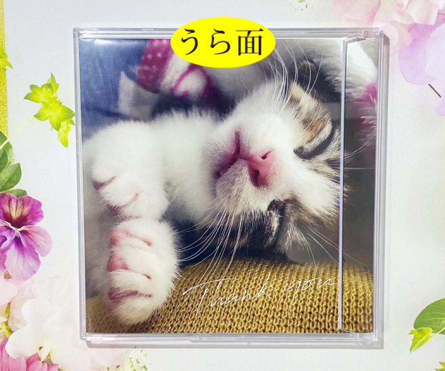 席次表＆プロフィール CDジャケット風席次表（6つ折）「フラワーA」