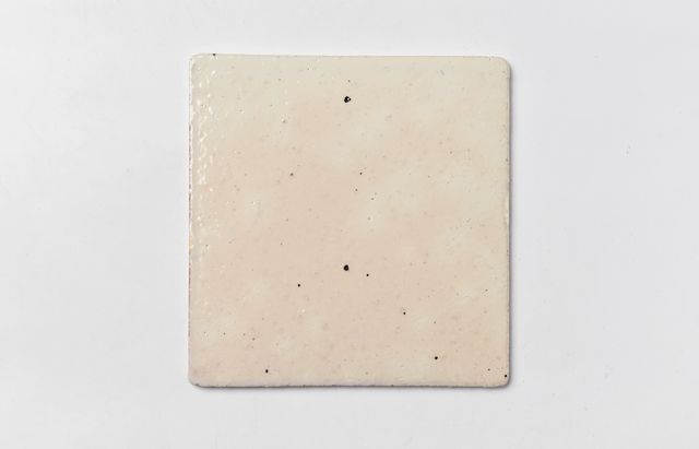 安齋新・厚子 61 紅毛手板皿シカク