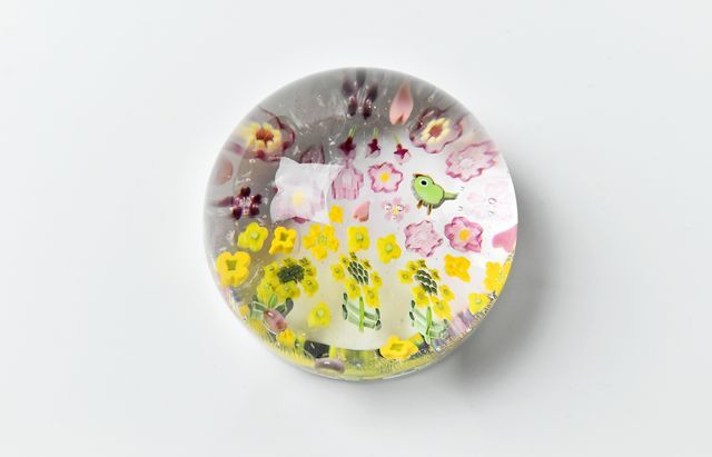 三留舞 22 桜と菜の花 ペーパーウェイトL