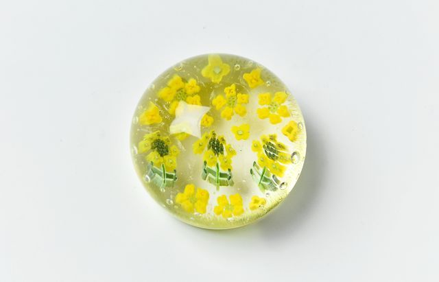三留舞 24 菜の花 ペーパーウェイト