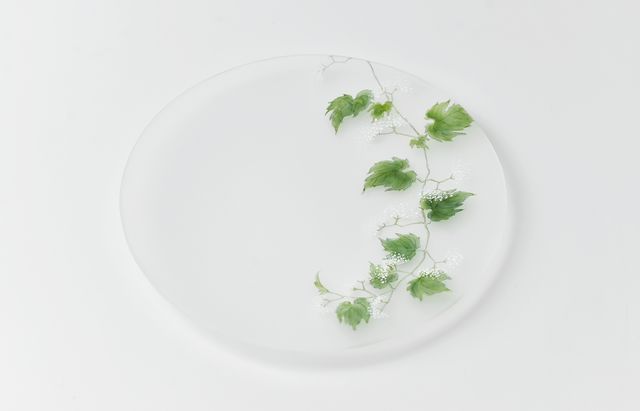 d.Tam 中村孝子/桃子 4 絵付け平皿155 蔓花/野葡萄 ｜ 暮らしのうつわ