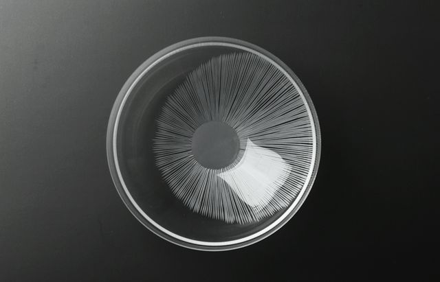 森知恵子 17 瞬き小鉢【202605】 ｜ 暮らしのうつわ花田 和食器 通販