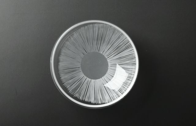 20260512