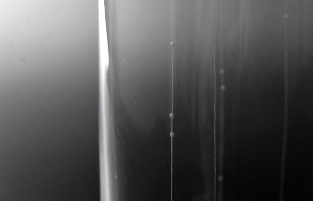 20260512