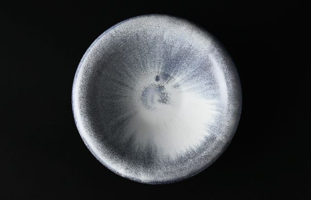 20261028