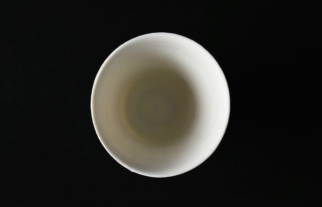 20261028