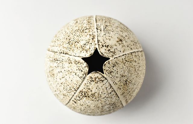 雪ノ浦裕一 10 栗磁花器 ｜ 暮らしのうつわ花田 和食器 通販