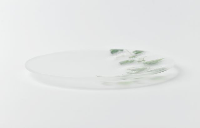 d.Tam 中村孝子/桃子 5 絵付け平皿135 蔓花/野葡萄 ｜ 暮らしのうつわ