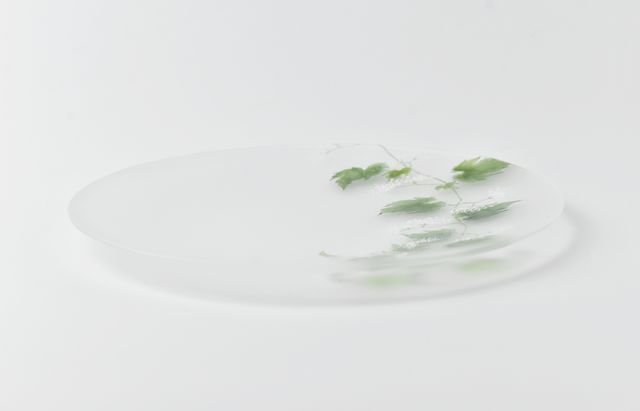 d.Tam 中村孝子/桃子 4 絵付け平皿155 蔓花/野葡萄 ｜ 暮らしのうつわ