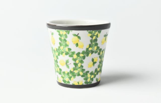 阿部慎太朗 48B 酒器（檸檬/リバティ） ｜ 暮らしのうつわ花田 和食器 通販