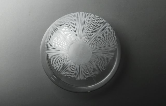 20260512
