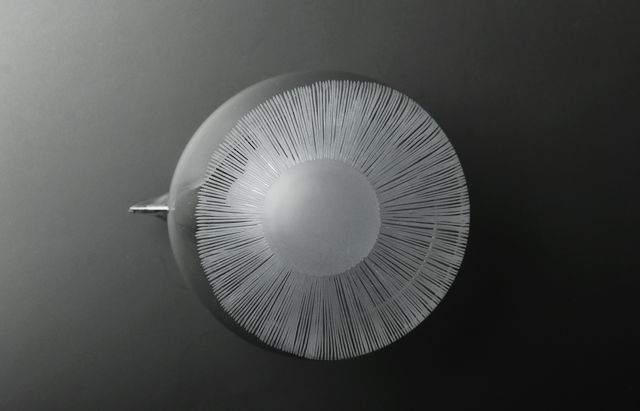 20260512