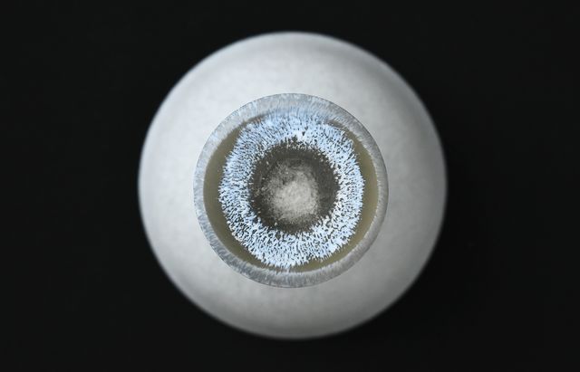 20260708