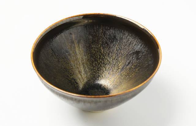 和泉出品 JAPANESE BONSAI｜和モダンの人気な栽培キット。インテリアにぴったり