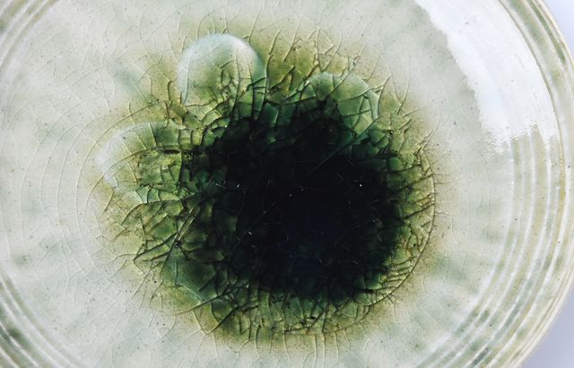 雪ノ浦裕一 16 緑釉花文皿 ｜ 暮らしのうつわ花田 和食器 通販