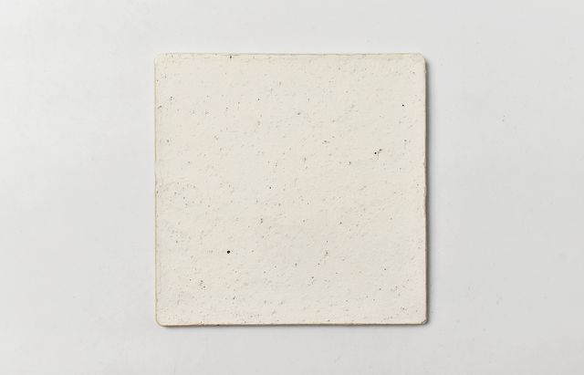 安斎　新・厚子　皿 安齋新・厚子 白磁菊花皿(安齋新・厚子) – 煎茶堂東京オンライン