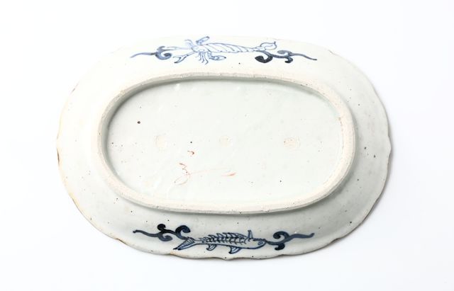 松浦コータロー 31 色絵ケラトサウルス楕円輪花皿 ｜ 暮らしのうつわ