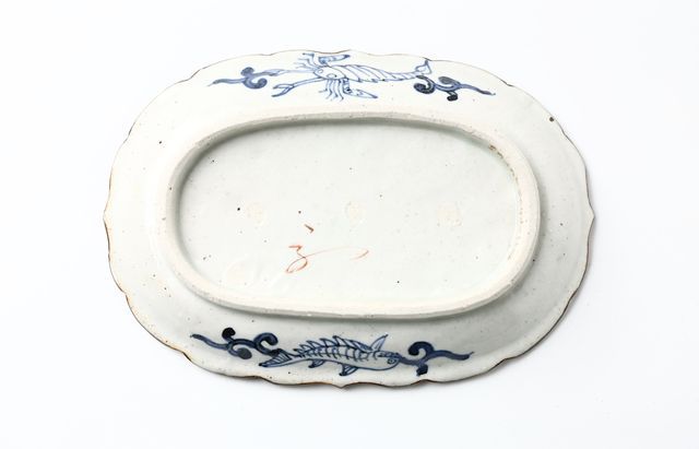 松浦コータロー 34 色絵ディロフォサウルス楕円輪花皿 ｜ 暮らしの