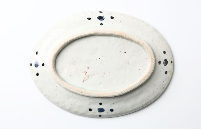 松浦コータロー 23 色絵タイガー牡丹恐竜文楕円皿 ｜ 暮らしのうつわ