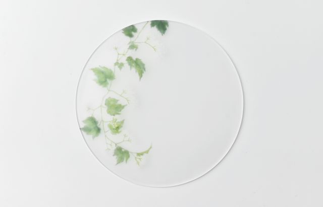 d.Tam 中村孝子/桃子 5 絵付け平皿135 蔓花/野葡萄 ｜ 暮らしのうつわ