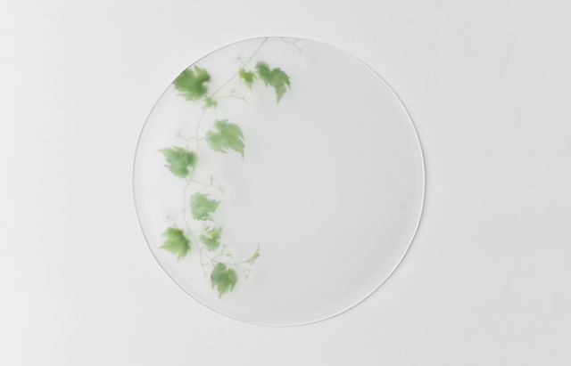 d.Tam 中村孝子/桃子 4 絵付け平皿155 蔓花/野葡萄 ｜ 暮らしのうつわ