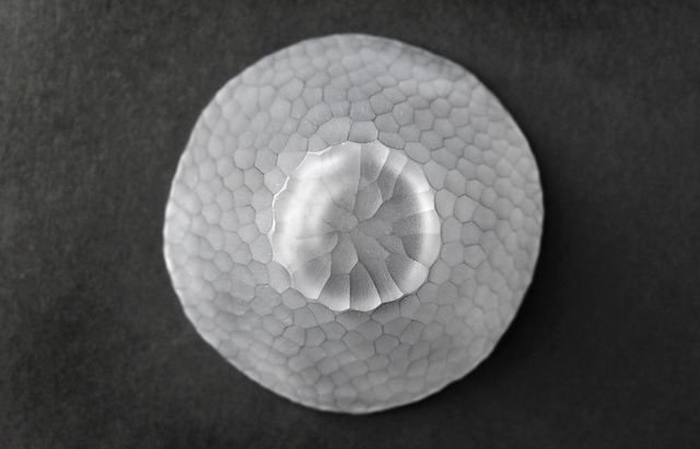 市川知也 氷鱗先付 ｜ 暮らしのうつわ花田 和食器 通販