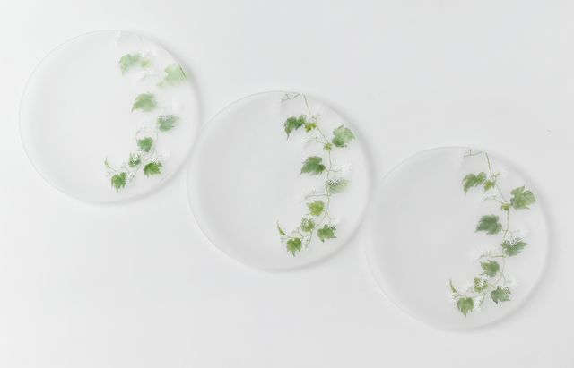 d.Tam 中村孝子/桃子 4 絵付け平皿155 蔓花/野葡萄 ｜ 暮らしのうつわ