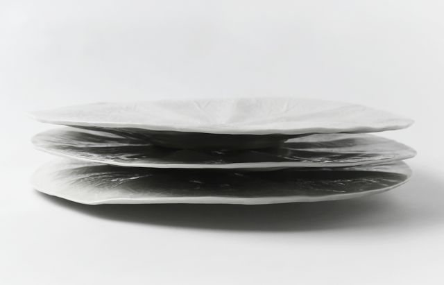 20261028