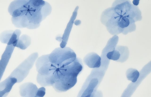 西納三枝さんの角皿 西納三枝｜暮らしのうつわ 花田 作家もの和食器（陶器 磁器 ガラス 漆