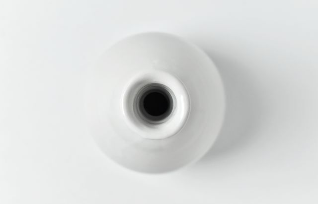 水垣千悦 15 白磁鶴首 ｜ 暮らしのうつわ花田 和食器 通販