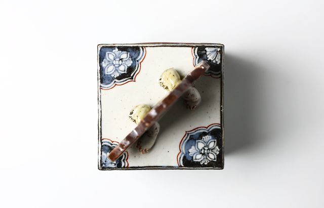 松浦コータロー 37 色絵祥瑞ディメトロドン恐竜文陶筥 ｜ 暮らしの