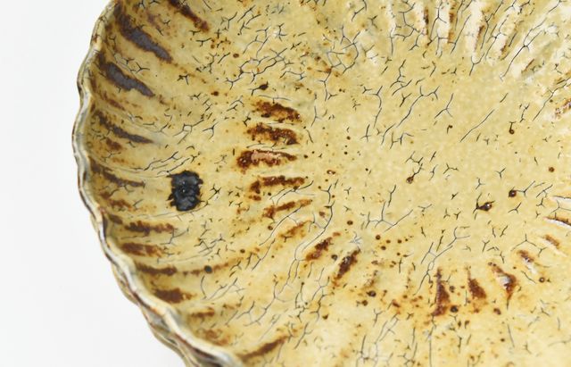 工藤和彦 190 黄粉引輪花7寸皿 ｜ 暮らしのうつわ花田 和食器 通販