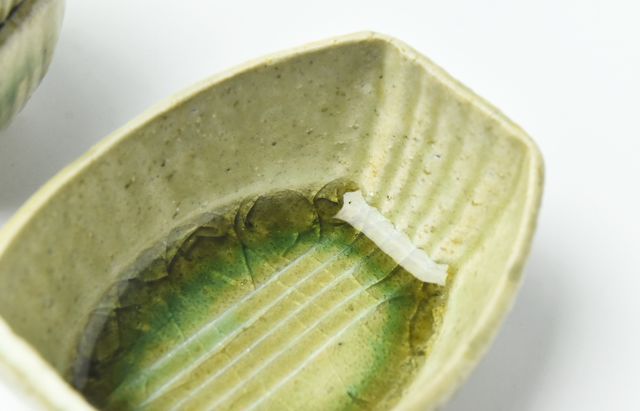 雪ノ浦裕一 12 緑釉楕円豆鉢 ｜ 暮らしのうつわ花田 和食器 通販