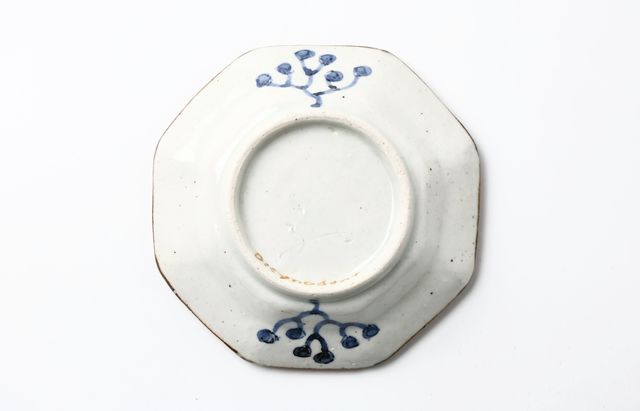 松浦コータロー 1 色絵ペルム紀生物八角小皿（5客組） ｜ 暮らしの