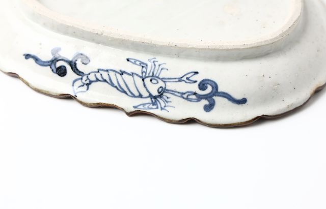 松浦コータロー 33 色絵クリオロフォサウルス楕円輪花皿 ｜ 暮らしの