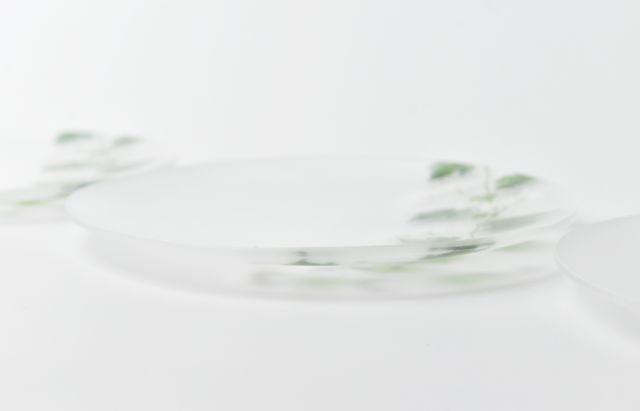 d.Tam 中村孝子/桃子 5 絵付け平皿135 蔓花/野葡萄 ｜ 暮らしのうつわ