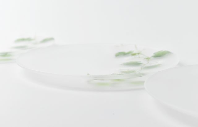 d.Tam 中村孝子/桃子 4 絵付け平皿155 蔓花/野葡萄 ｜ 暮らしのうつわ