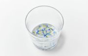 VIVA GGG 生島賢×生島明水 二人展｜暮らしのうつわ 花田 作家