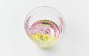 三留舞 8 桜と菜の花 ぐいのみ
