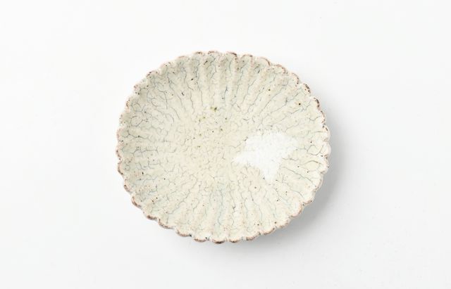 杉本太郎 31 小菊皿白