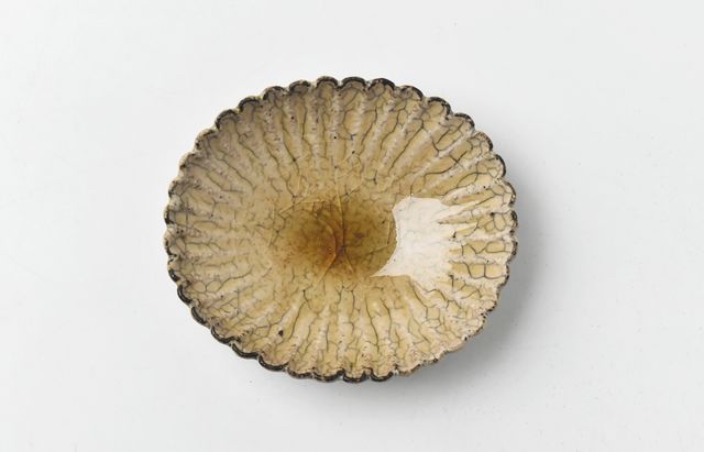 杉本太郎 32 小菊皿黄