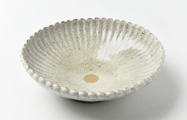 杉本太郎 20 6寸菊花鉢白シベ