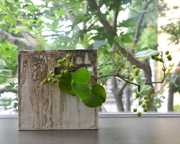 花器-白化粧掛花生　作家「竹内紘三」