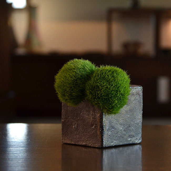 竹内紘三　黒土花器　花瓶　作家もの 楽天市場】黒土花器（E） 作家「竹内紘三」 : うつわや悠々