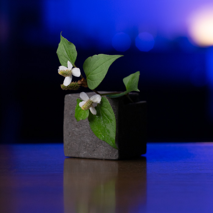 黒土花器 (KT-288)　作家「竹内紘三」