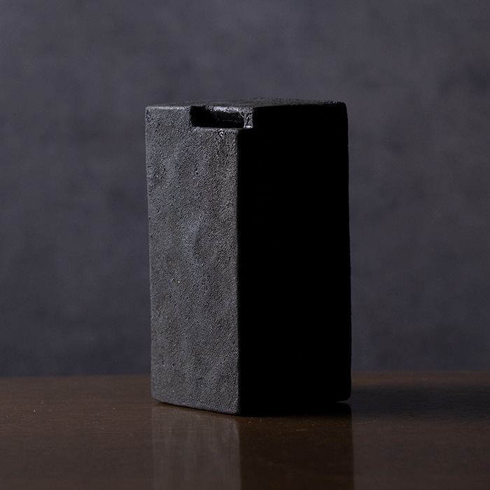 竹内 竹内星菜🥀Takeuchi seina | このくびれすき✨ . . . 次回