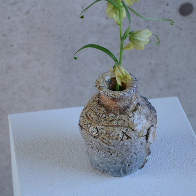 信楽蹲　作家「藤本秀」 