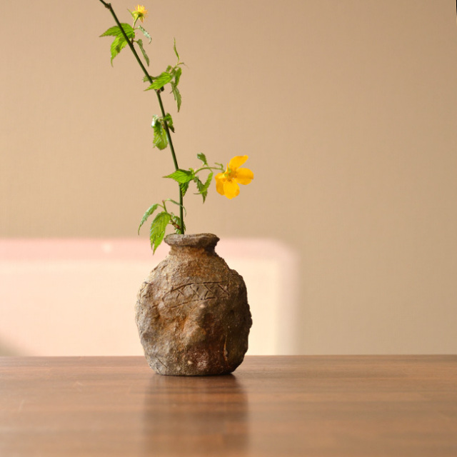 信楽小蹲　作家「藤本秀」